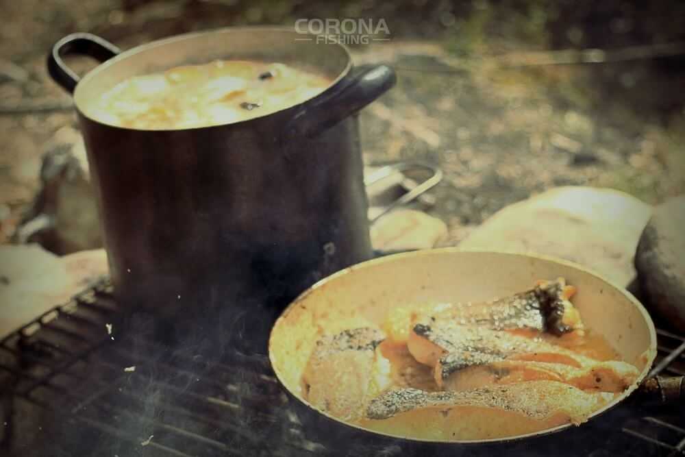 wędkarstwo skandynawia